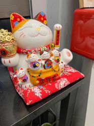 -摩睫+皮肤管理·科学美容中心