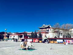 -迪庆藏族自治州博物馆