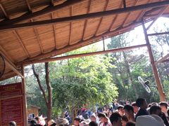 -玻璃桥景区石牛寨