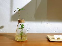 -MAISON门前杂货店
