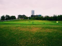 -上海山野camping·户外天幕烧烤·团建拓展营地