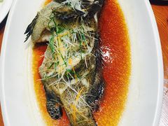 -頂好酒家·经典粤菜(海信广场店)