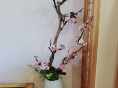 -朝郡酒家·粤菜(燕大星苑店)