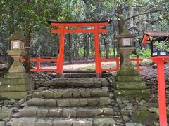 -奈良公园
