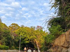 -仙岳公园