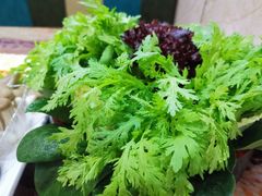 -沈阳皇朝万鑫酒店