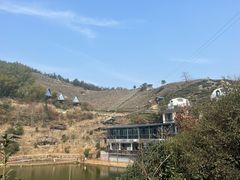 -长沙黑麋峰国家森林公园