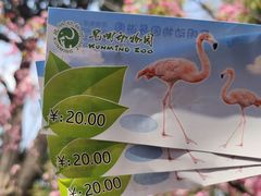 -昆明动物园
