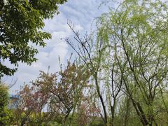 -眉山湿地公园(东坡区)