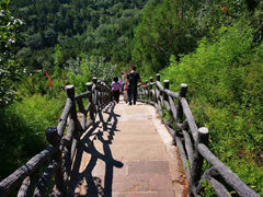 -磬锤峰森林公园