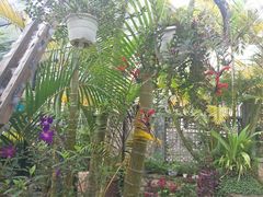 -Le Chalet Dalat