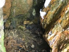 -三门江国家森林公园