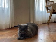 -Me Coffee下午茶艺术空间