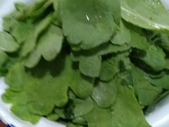 茼蒿-老门框爆肚涮肉(金宝街店)