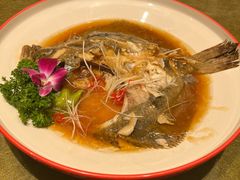 -天下春花园酒店(大东店)