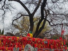 -大槐树寻根祭祖园