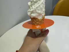 -野人先生现做冰淇淋(北京环宇荟店)