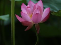-裕华世纪公园