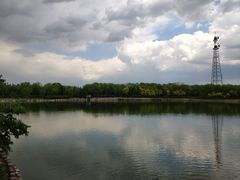 -大兴滨河森林公园