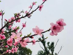 -钟山体育运动公园