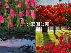 -翠湖公园
