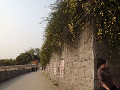-汤山公园