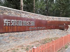 -东郊湿地公园