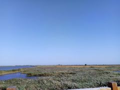 景点-红海滩国家风景廊道
