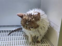 -沐沐家宠物(成寿寺店)