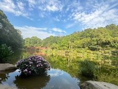-深圳仙湖植物园