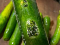 -农工商超市(金沙江路店)