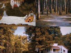 -上海共青森林公园