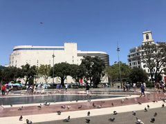 -巴塞罗那主教座堂
