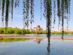 -莲花池公园