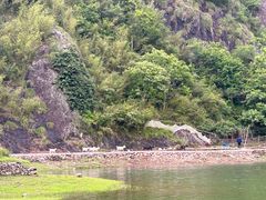 -楠溪江风景名胜区