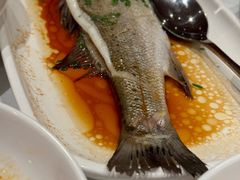 -醉辉皇原味海鲜江南菜(成都大魔方店)