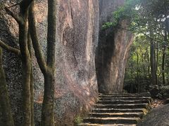 -清溪森林公园