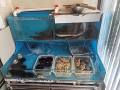 水产区-福匠日本料理(人民路店)