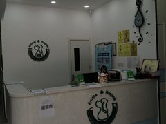 -中农国际动物医院24小时·猫科·骨科·急重症中心
