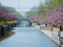 -元大都城垣遗址公园