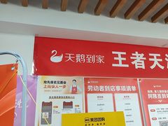 -天鹅到家·保姆月嫂育儿嫂(南开店)