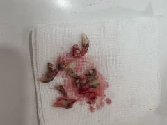 -美联众合动物医院·24h京西诊疗中心