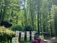 -林间山庄