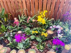 -国家植物园南园