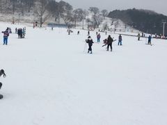 -神鹿雪场