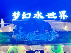-巨鹏飞梦幻海岸