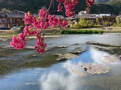 -里格村景区