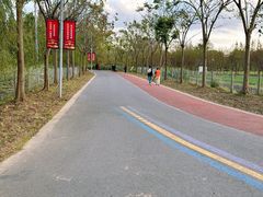 -上海长兴岛郊野公园