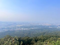 -紫金山山顶公园