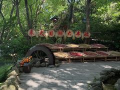 -天目湖山水园